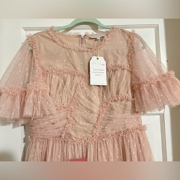 Ivy City Co. Whimsical Dress in Blush XL NWT - Picture 4 of 5